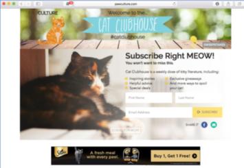 Cat Clubhouse Email Form