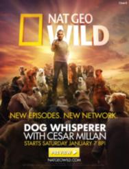 NatGeo Wild